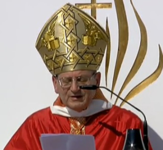 Homilía del Card. Angelo Amato en la Beatificación de 522 Mártires del siglo XX en España