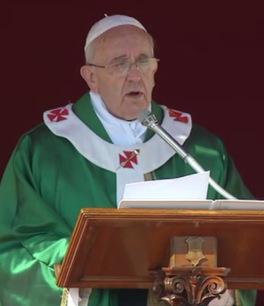 Homilía del Santo Padre Francisco en la Jornada Mariana del Año de la fe