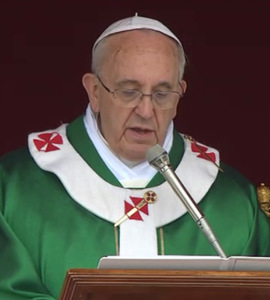 Homilía del Santo Padre Francisco en la Santa Misa con las familias